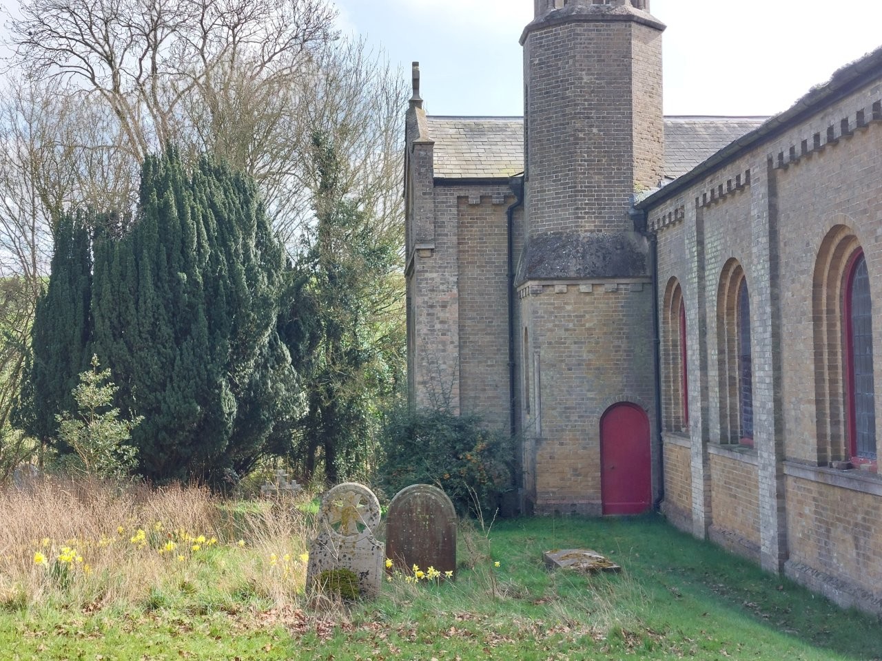 Yew trees by the side of a church building.
